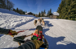 Balade d'enfants en chiens de traîneau