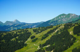 Paysage montagne en été