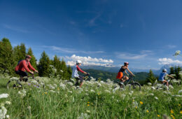 Famille faisant du vélo dans la nature en été