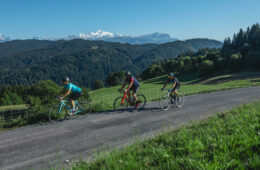 Cyclists on a mountain road in summer