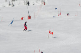 Parallel slalom