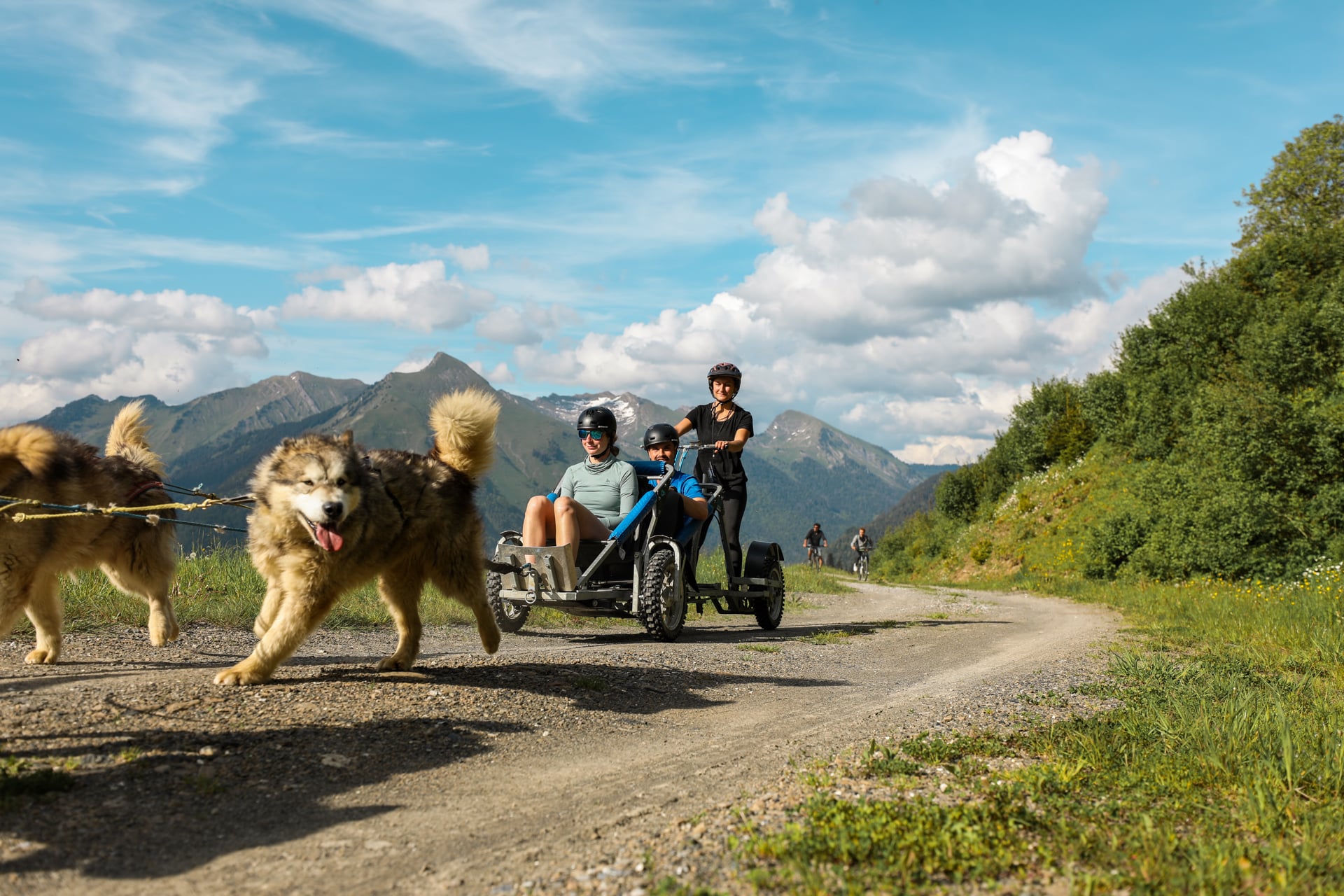 Cani kart en famille